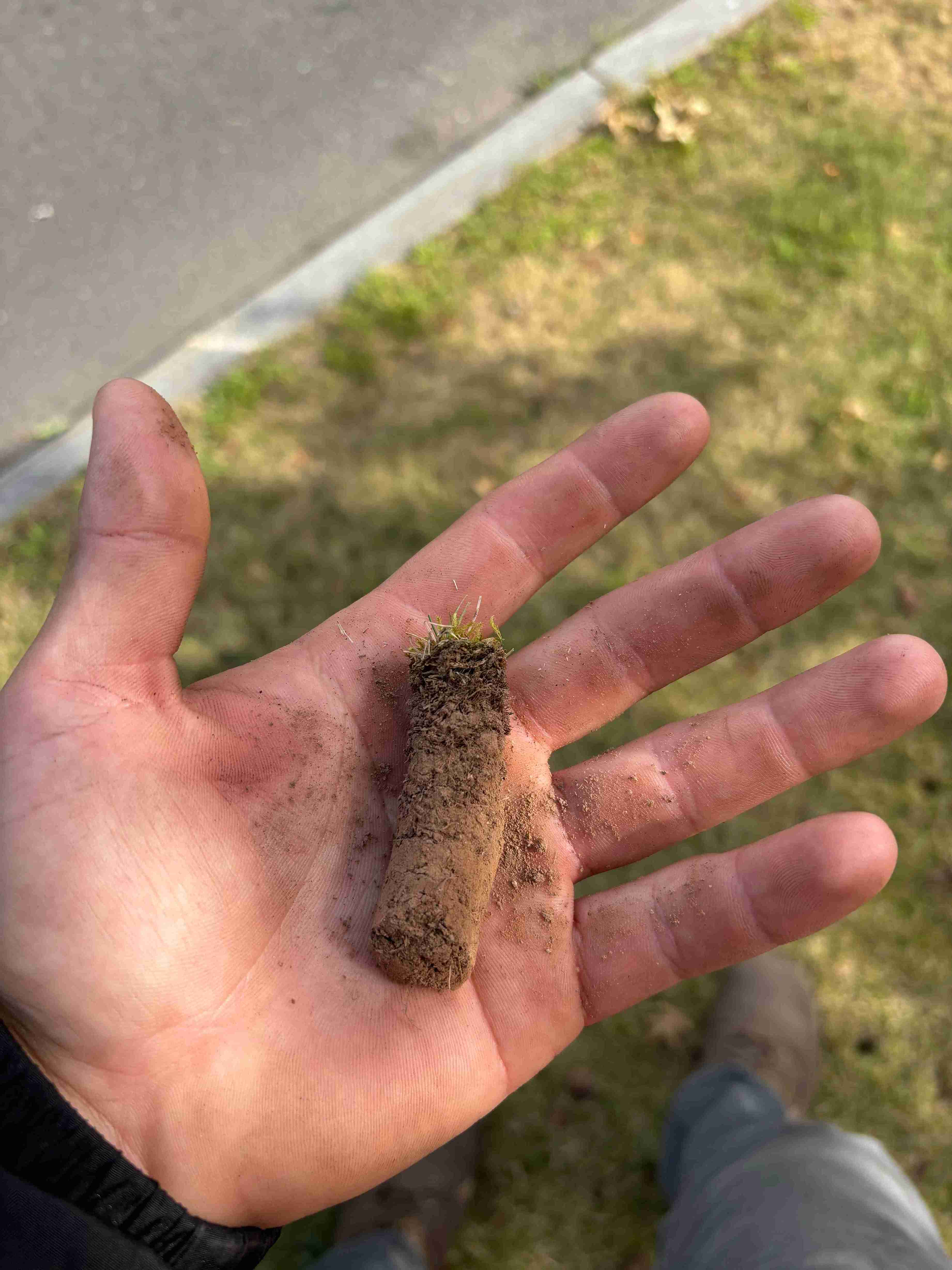 Core Aerating and Overseeding