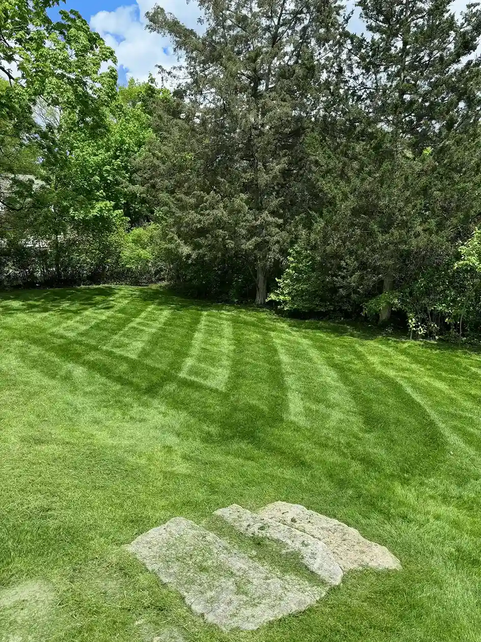 Commercial lawn care project